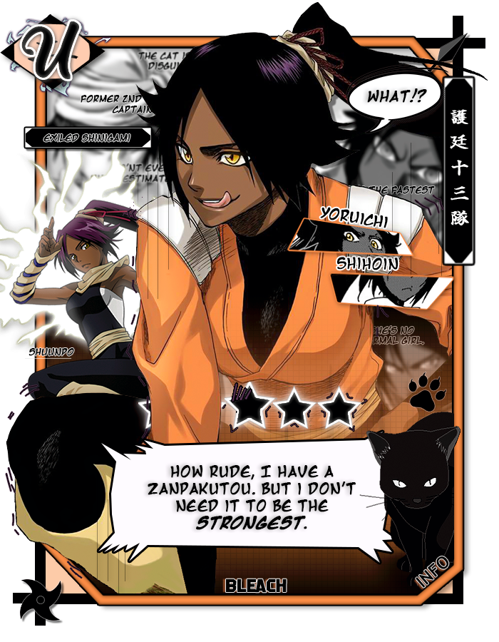 Yoruichi Shihoin